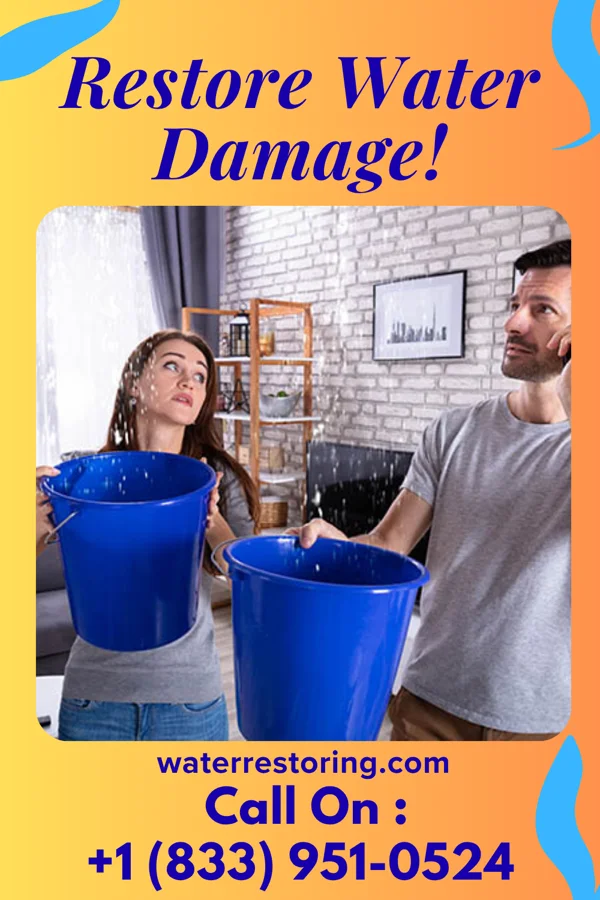 water restoration Elite Cleanup & Sons Valley Green