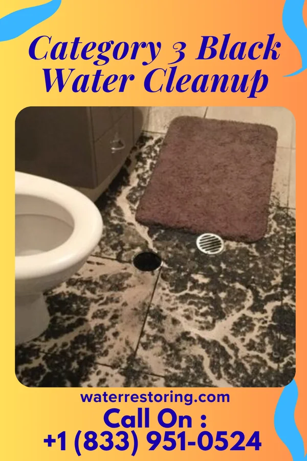 Category 3 Black Water Cleanup in Valley Green, PA