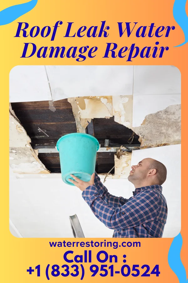 Roof Leak Water Damage Repair in Valley Green, PA