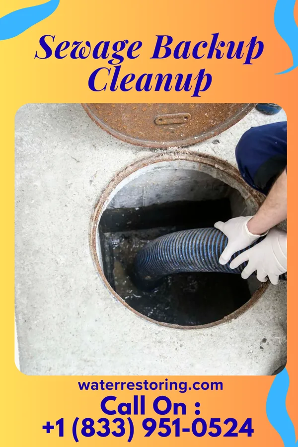 Sewage Backup Cleanup in Valley Green, PA