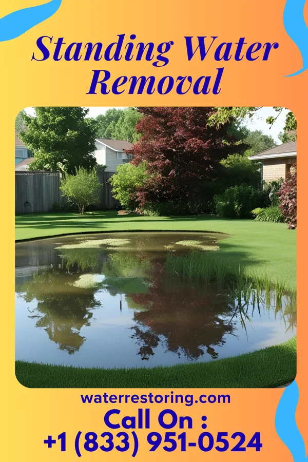 Standing Water Removal in Valley Green, PA